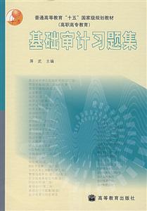 高职高专教育-基础审计习题集