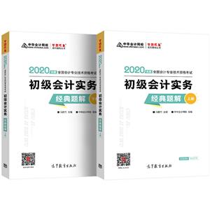 2020年全国会计专业技术资格考试 初级会计实务经典题解上下册