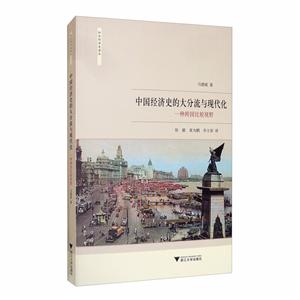 中国经济史的大分流与现代化:一种跨国比较视野