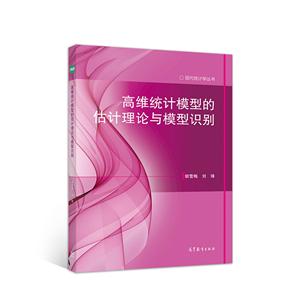 高维统计模型的估计理论与模型识别